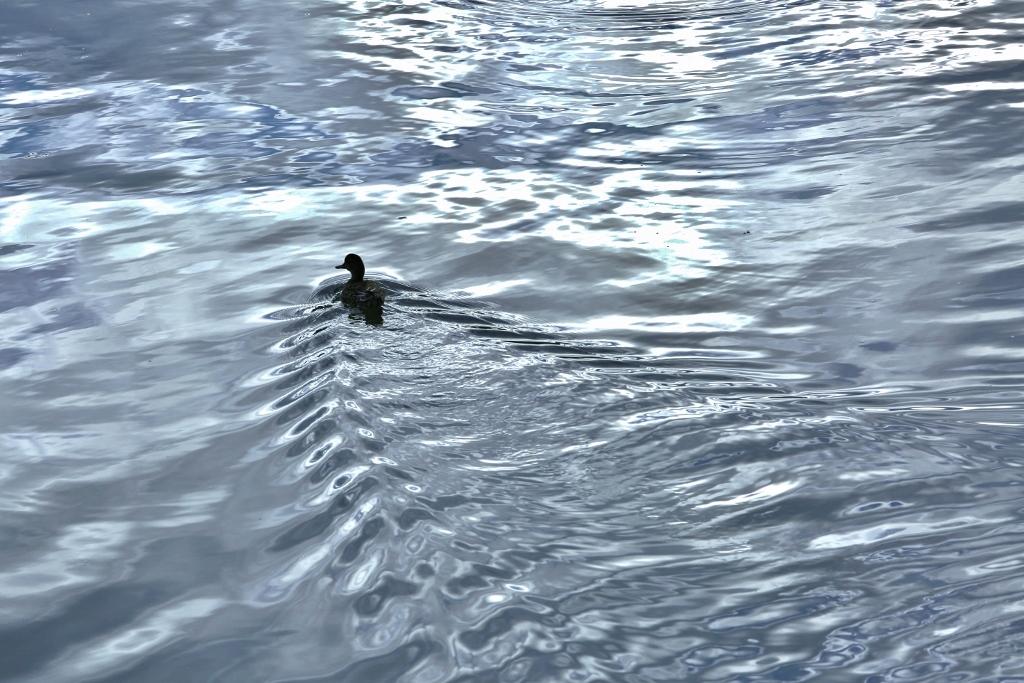 B97A6457 (1024x683).jpg