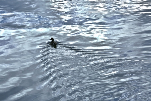 B97A6457 (1024x683).jpg