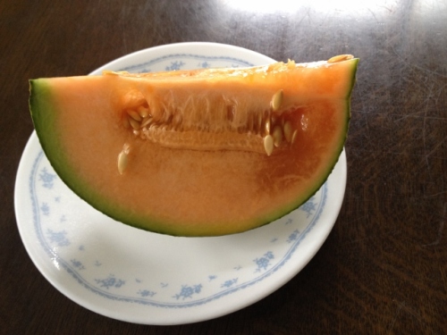 IMG_1291 (640x480).jpg