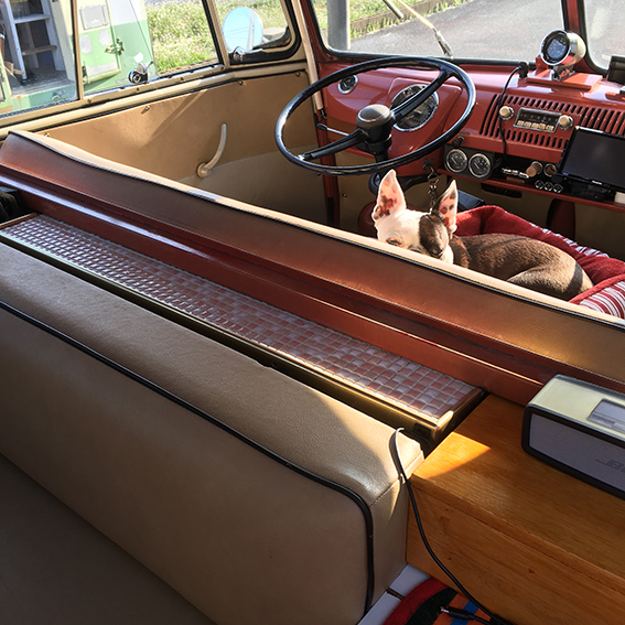 ファイル 2017-03-28 12 07 10.jpeg