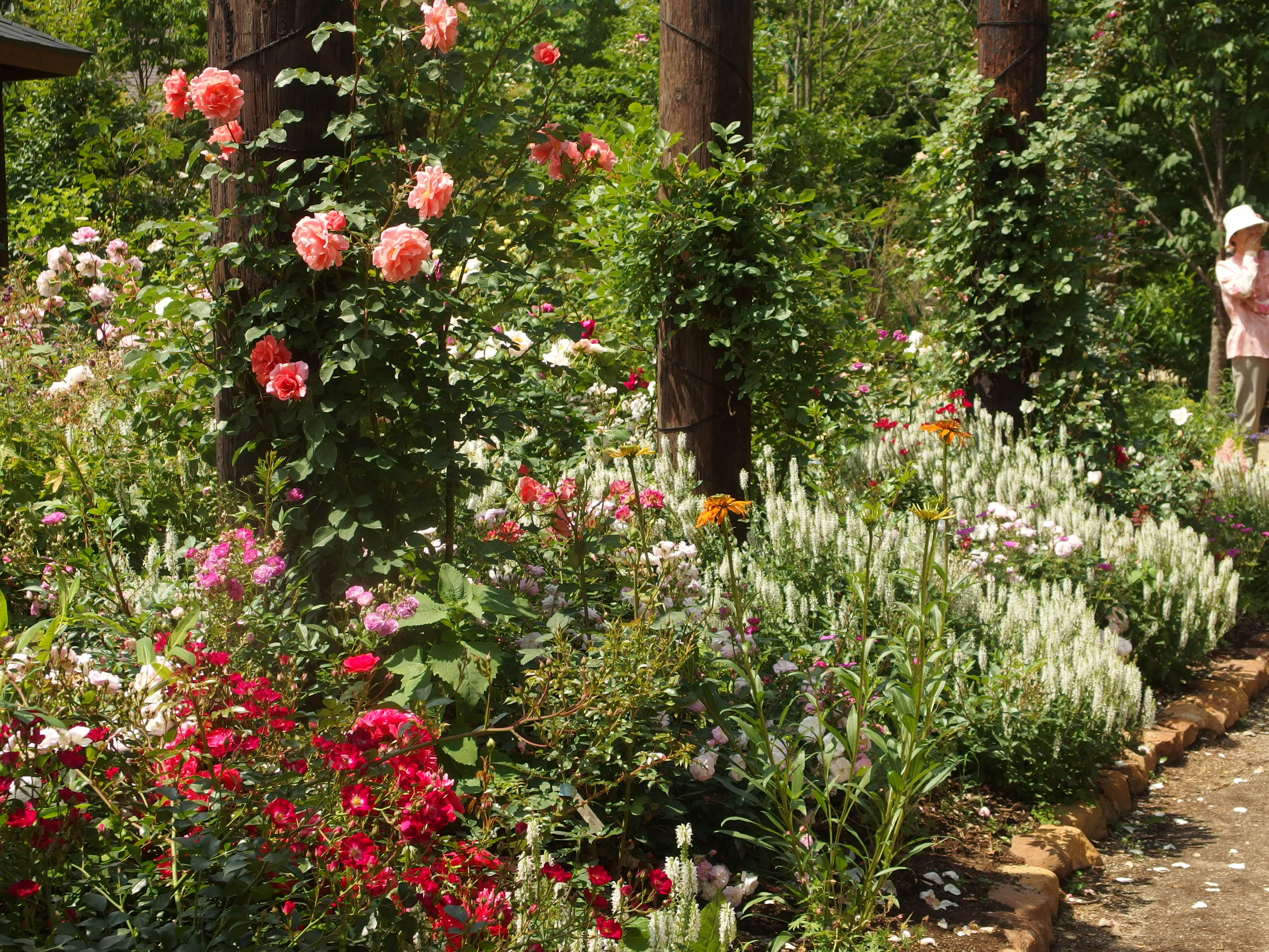 2015-06-10 12.43.00.jpg