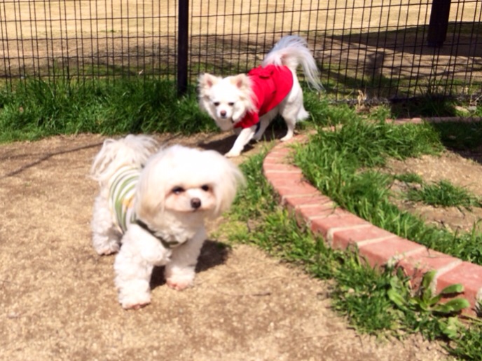 201403231104_6419_iphone.jpg