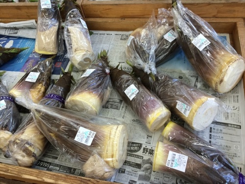 20150426 14165201.JPG