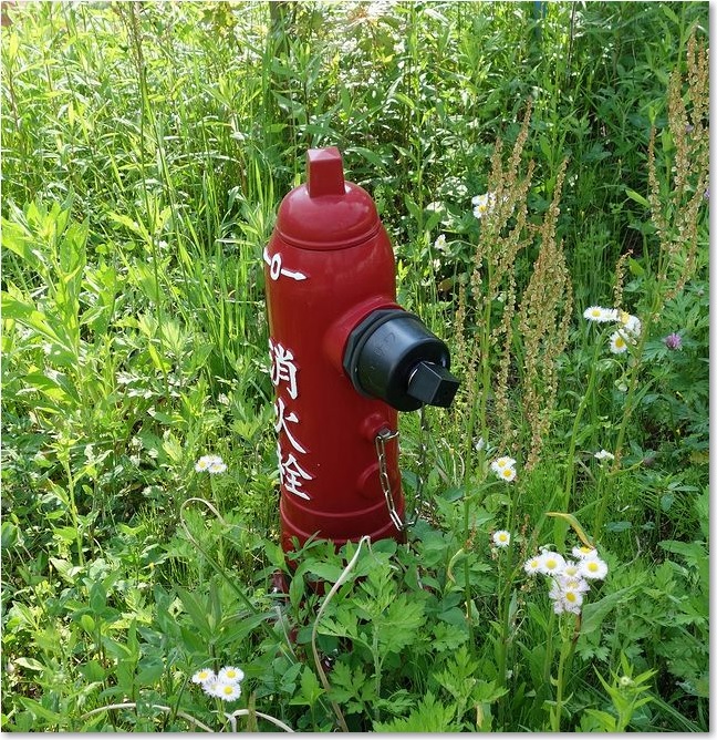 34初夏の消火栓