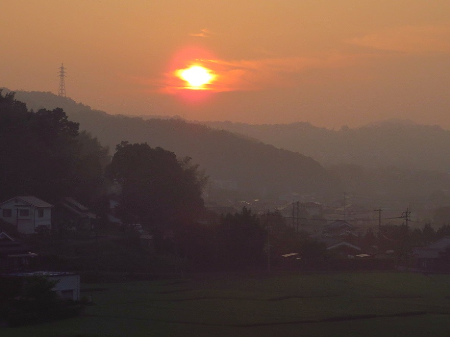 朝陽_9635.jpg