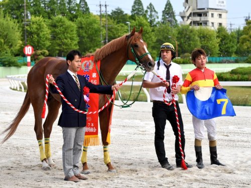 駿蹄賞１７ｂ.jpg