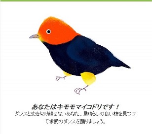 google earth day 2015 bird S.jpg