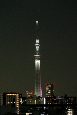 C_3332.jpg