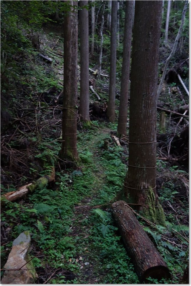 131道は続きます