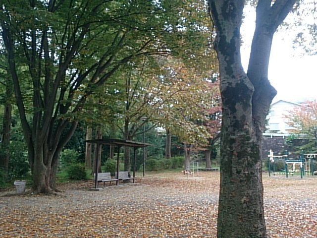 20171108  DSC_0002.jpg