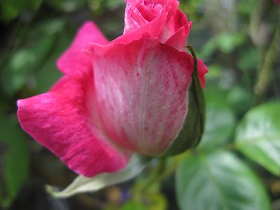 IMG_ed26.JPG