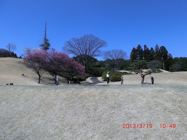 03ティーグラウンド.jpg
