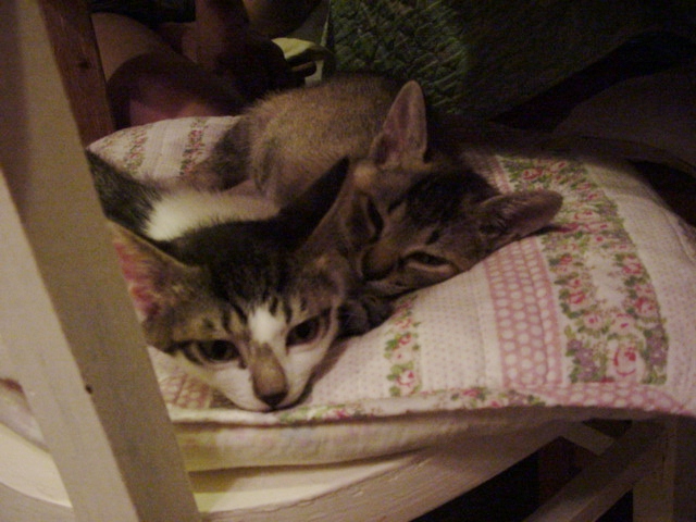 DSC09054.JPG