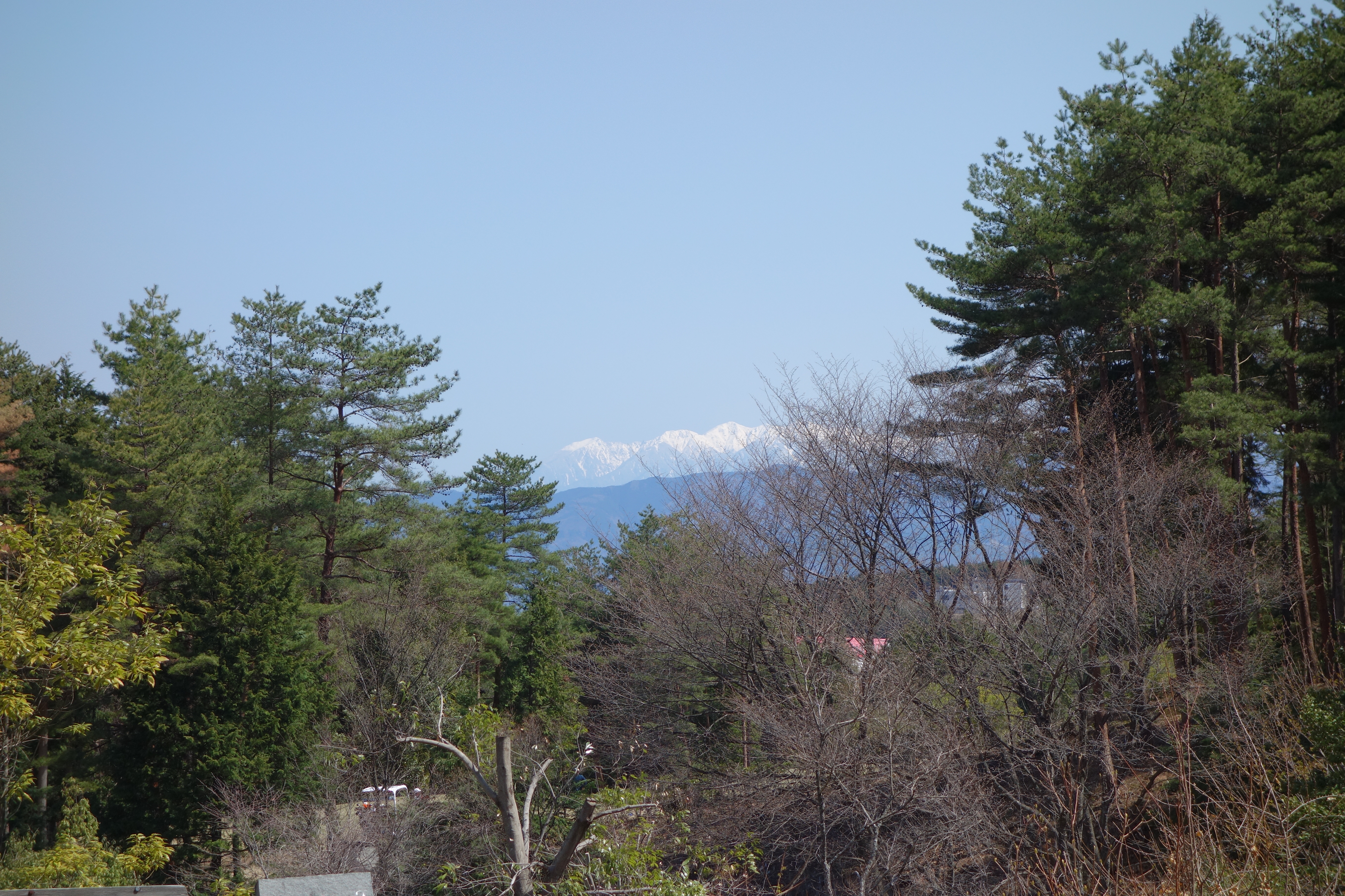 DSC00010.JPG