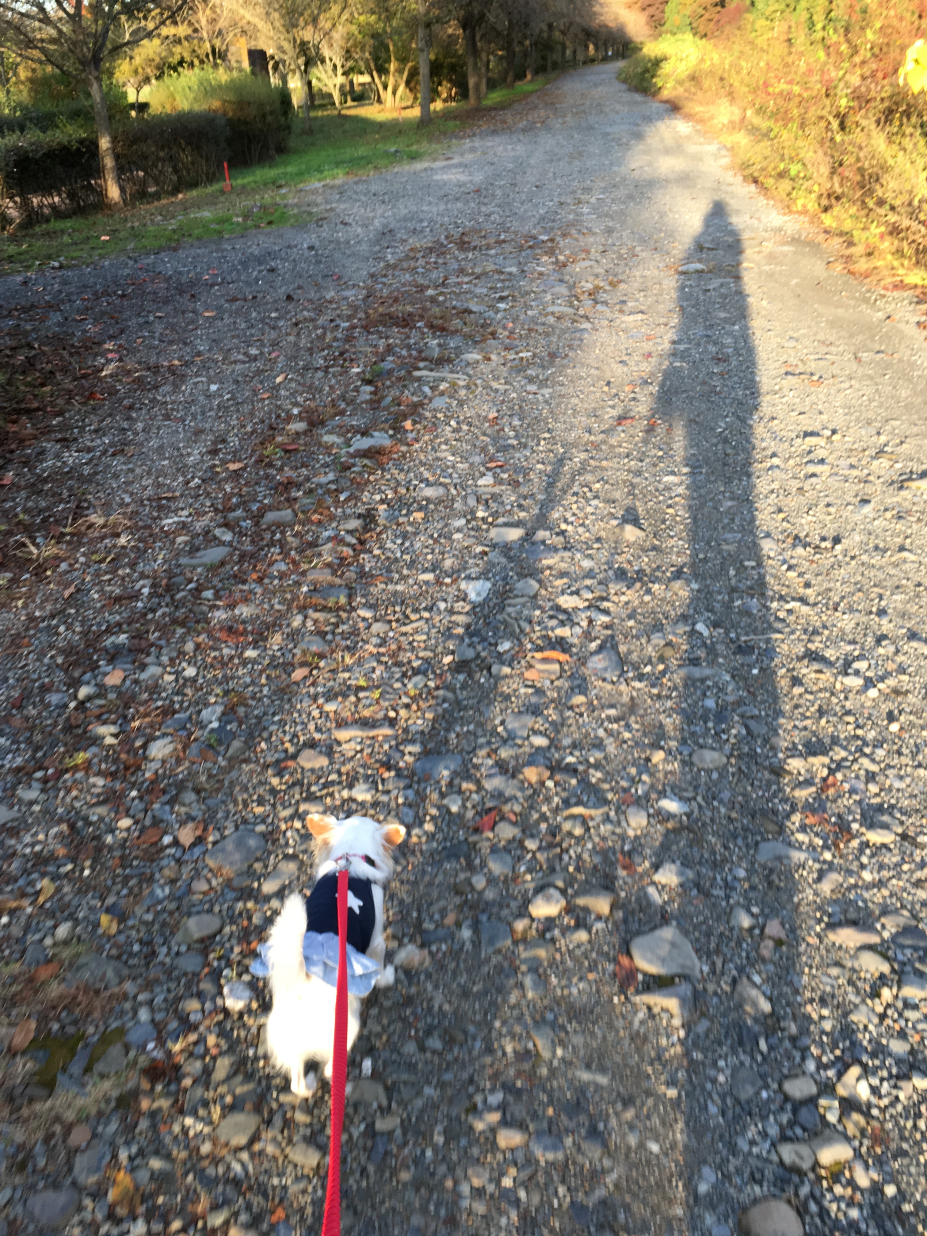 201511062324_3251_iphone.jpg