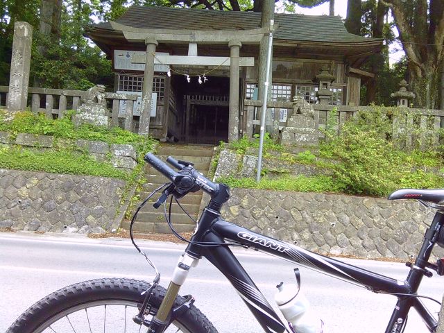 250529shikarawasoba08.jpg