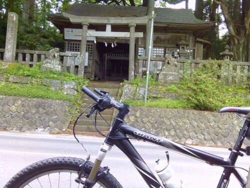 250529shikarawasoba08.jpg