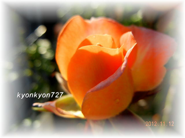 DSCN9717.jpg
