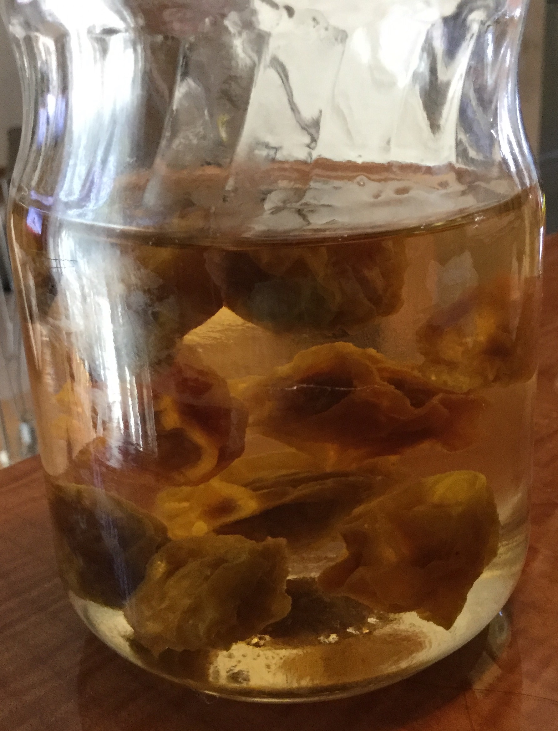 FullSizeRender (7).jpg