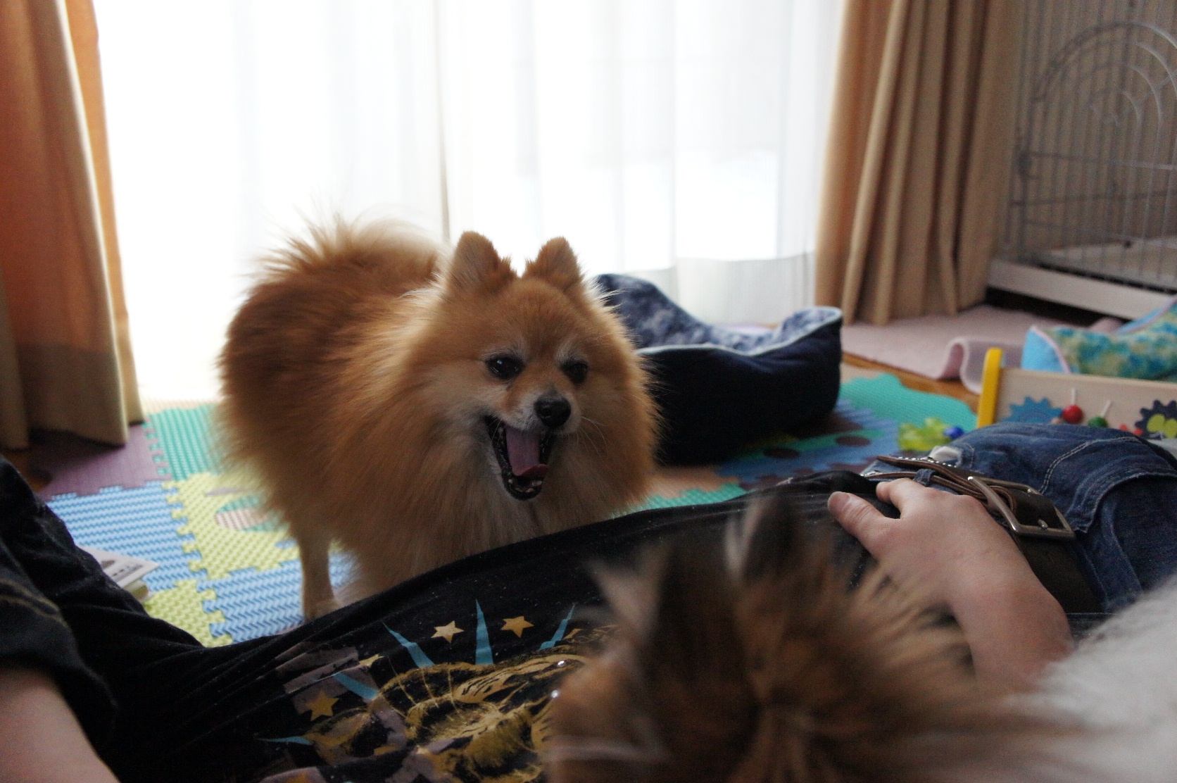 DSC07987.JPG