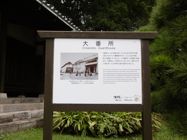 P1310178.JPG