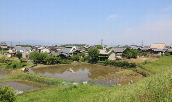 田植えの頃bl.jpg