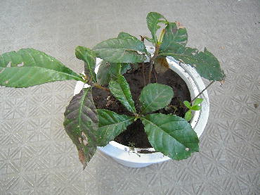 2012 3 20.JPG