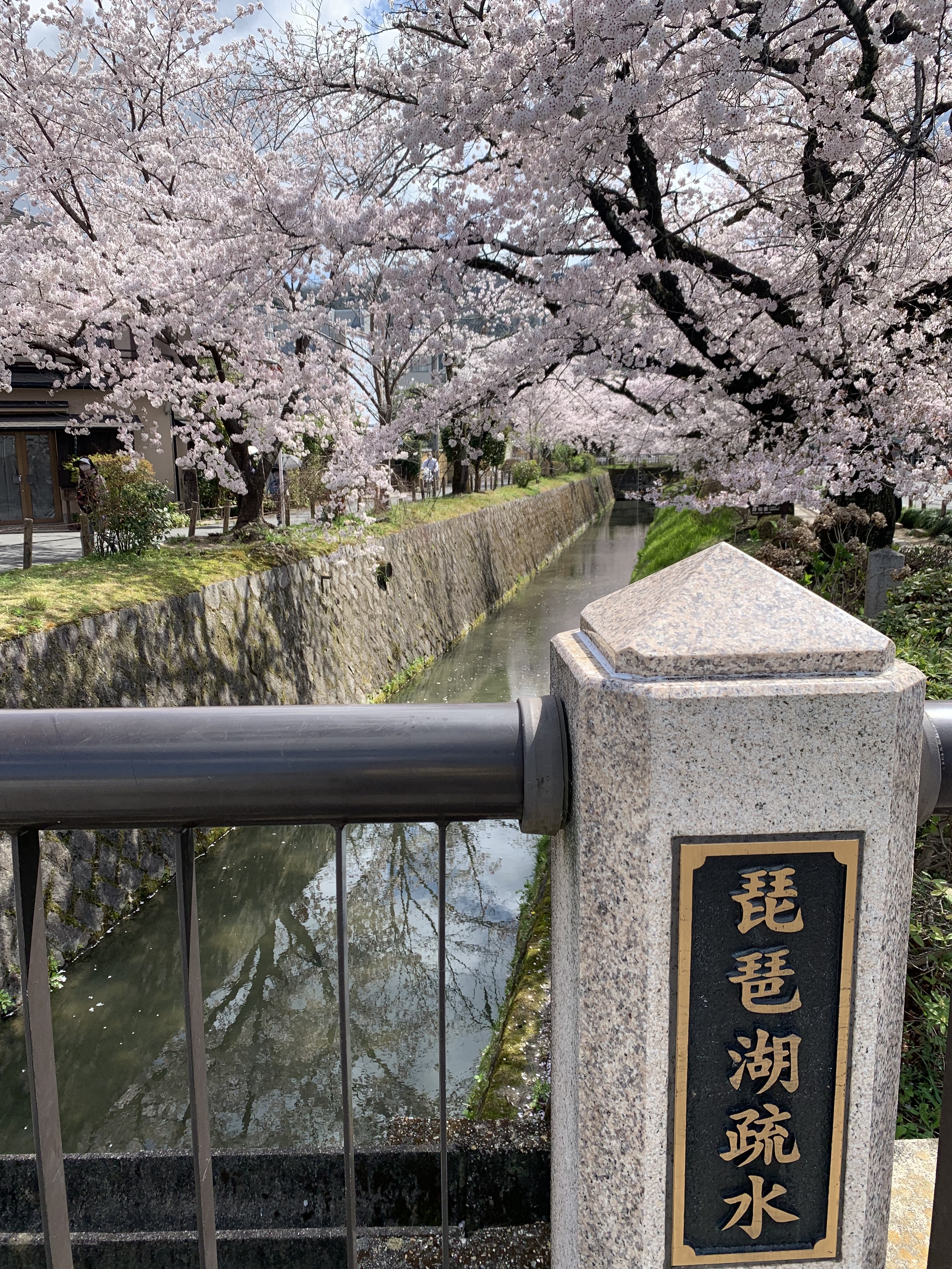 E14C801C-272A-4010-A343-D766C8166757.jpeg