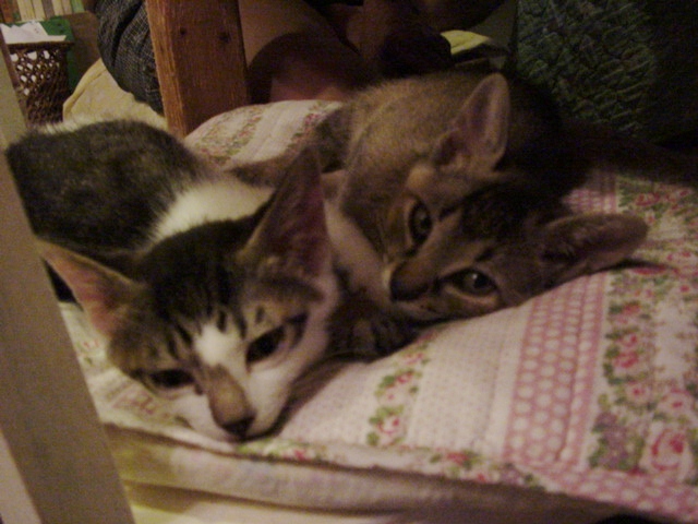 DSC09055.JPG