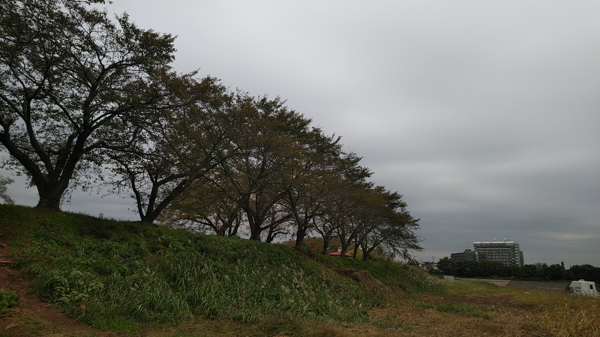 20191103  DSC_0003.jpg.jpg