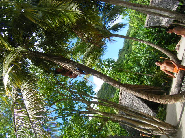 グアム旅行 リナラカルチャーパーク  (2).JPG