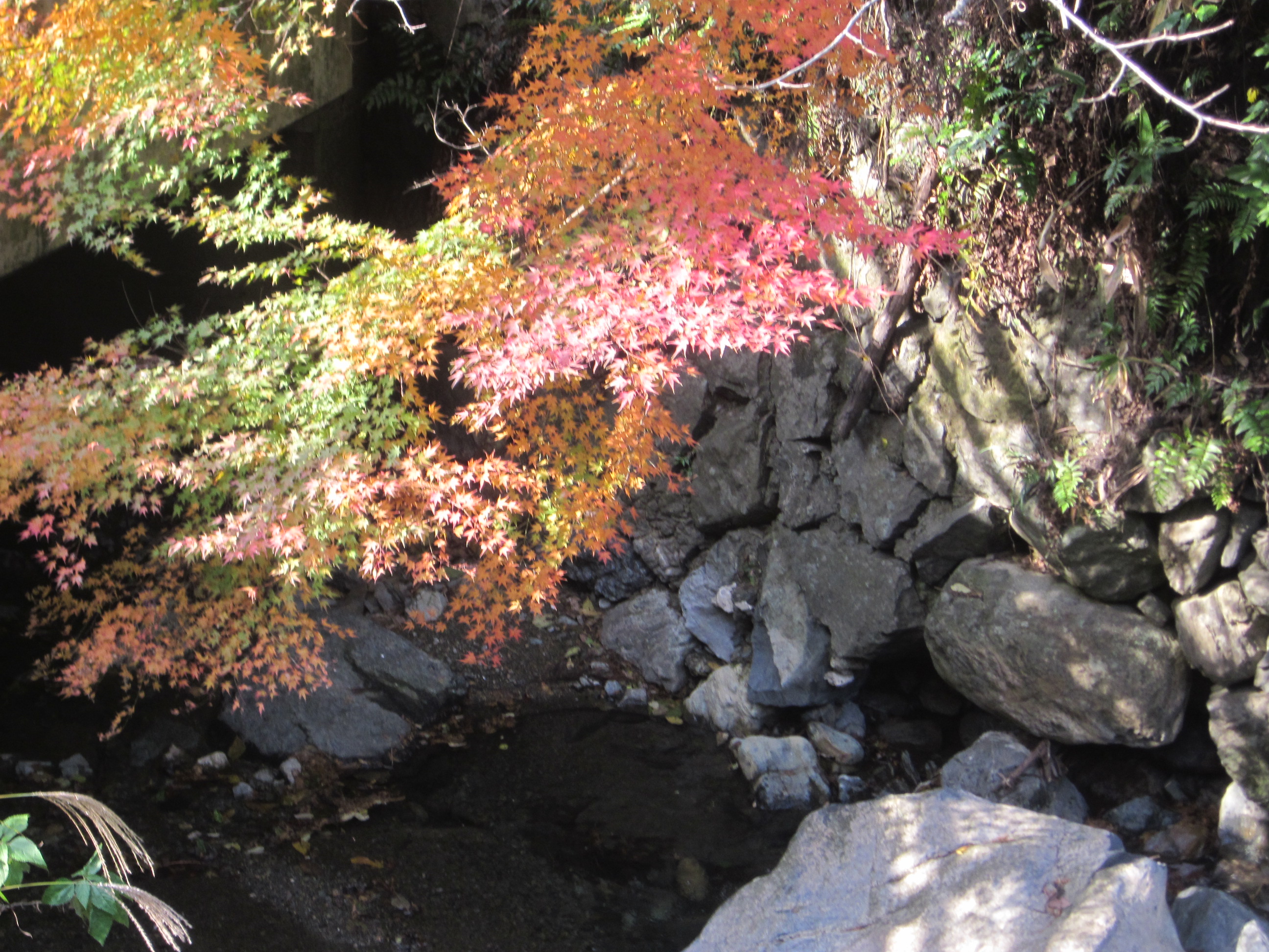 IMG_1685.JPG
