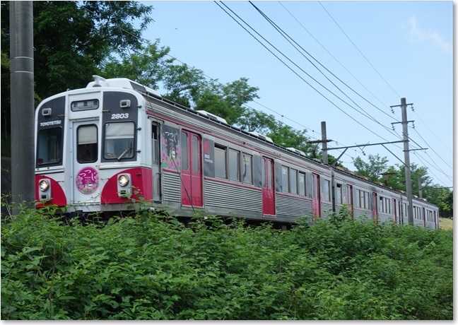 22走る【 つつじ・1803号 】