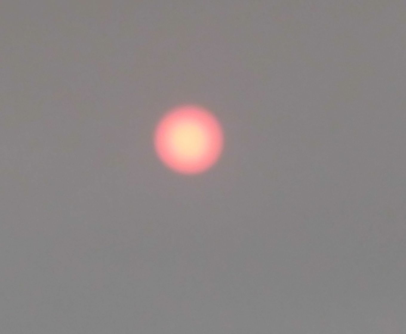 0705 the  sun   (trimmed & trimmed).jpg