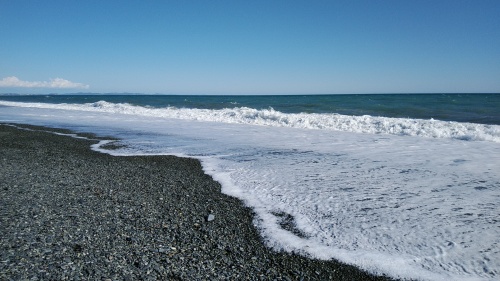 20200311  DSC_0007.jpg