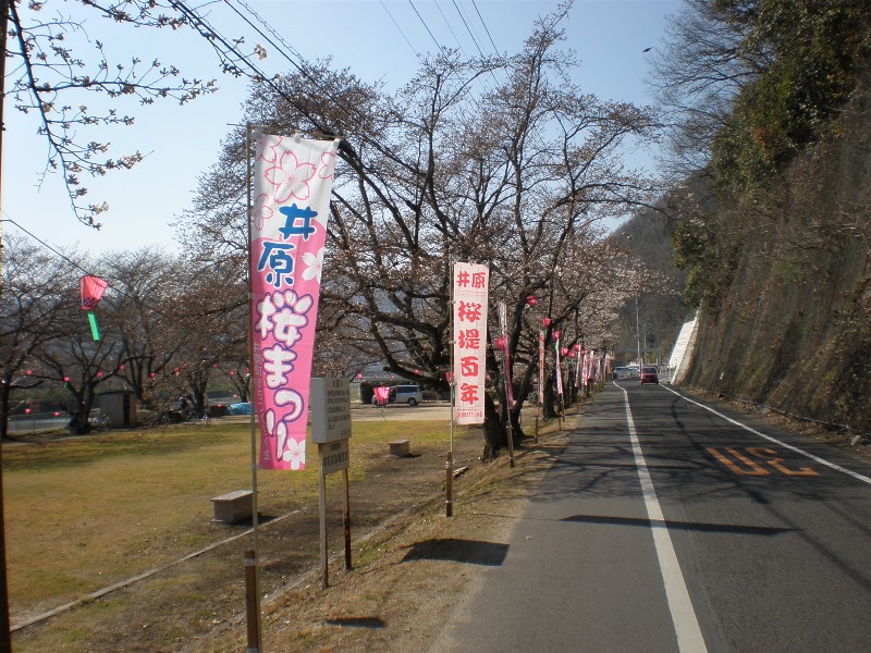 P3285899.jpg-1.jpg
