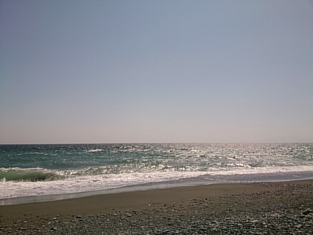 20150331  DSC_0002.jpg