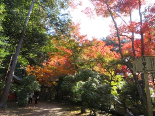 上賀茂神社 (27).jpg