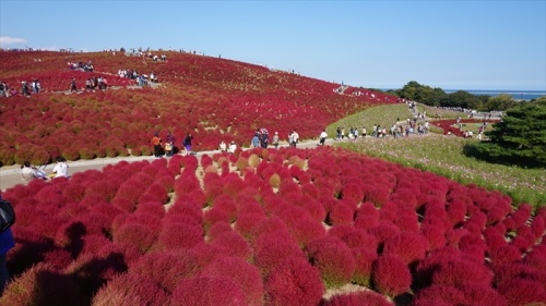 20151014 13495201.jpg