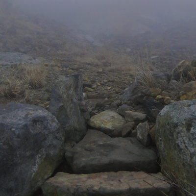 20130301.jpg