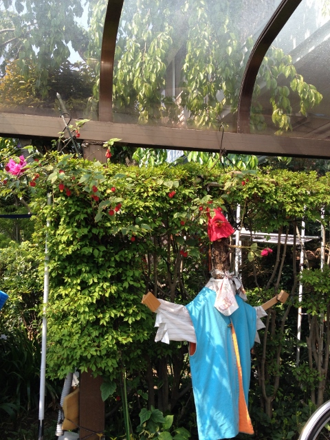 IMG_6992 (480x640).jpg