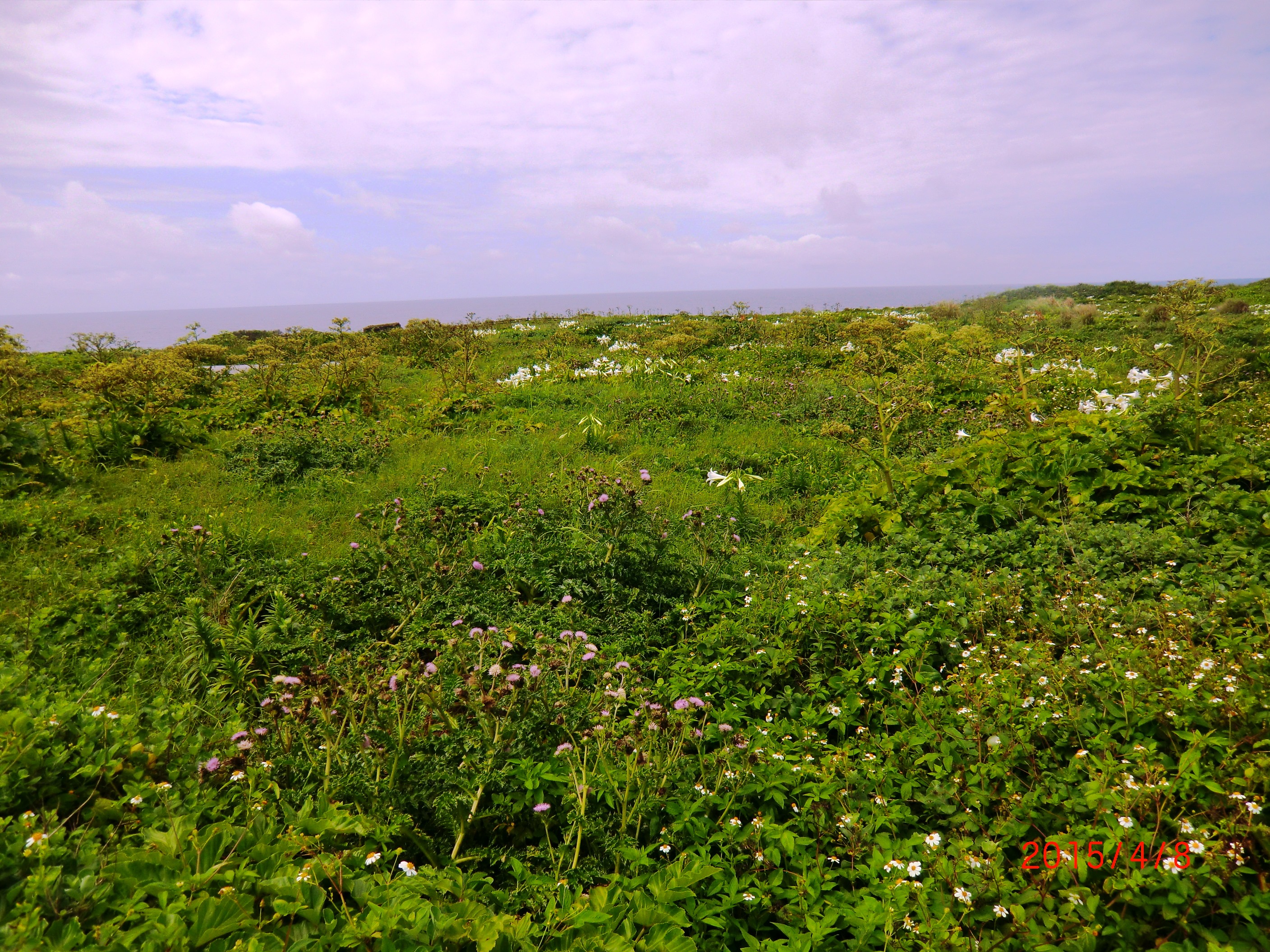 １５－４－７宮古島 122.JPG