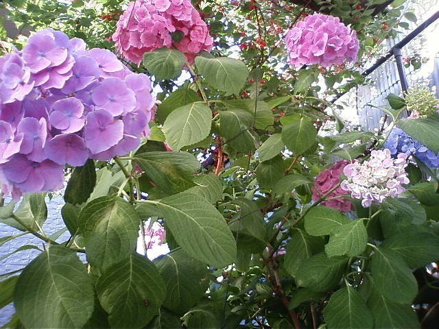 DCF_0319.JPG