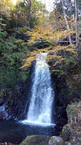 九酔渓天狗の滝 (1).JPG