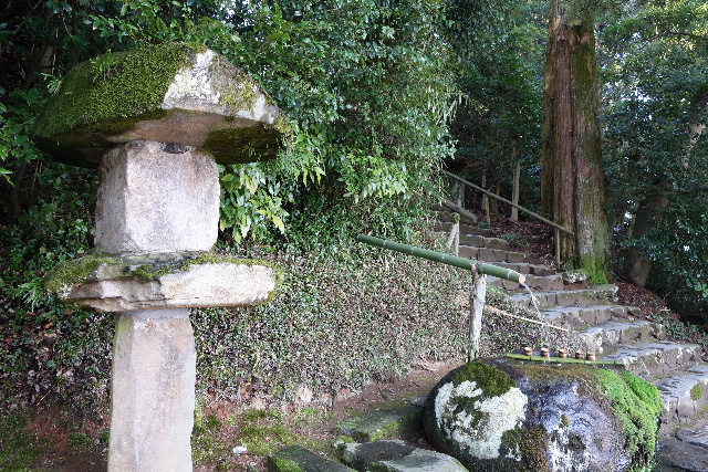 DSC03661.JPG