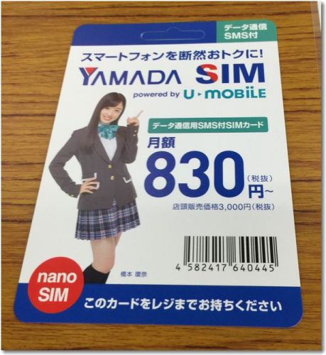YAMADA SIM.jpg