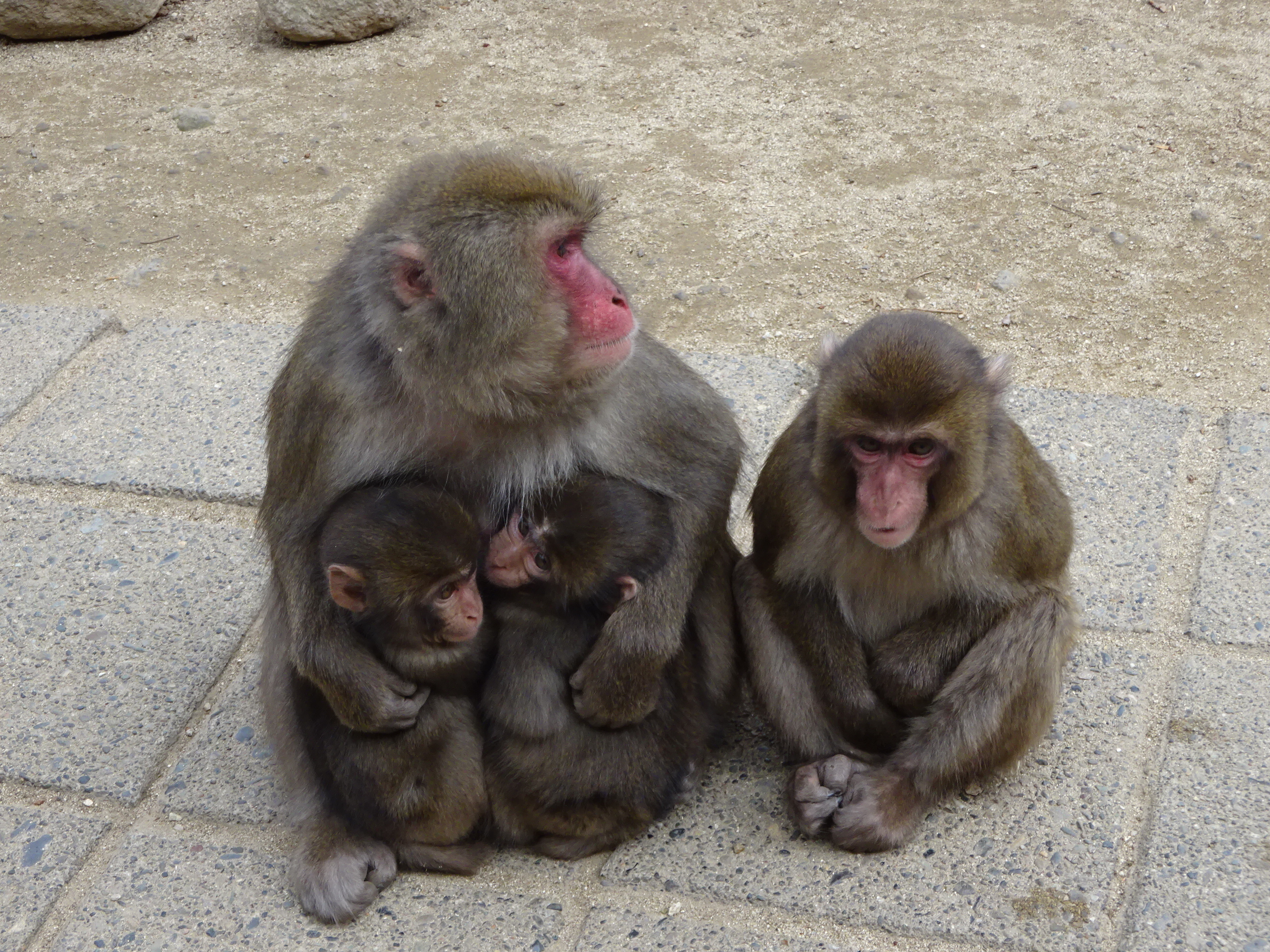 カラオケ (6).JPG