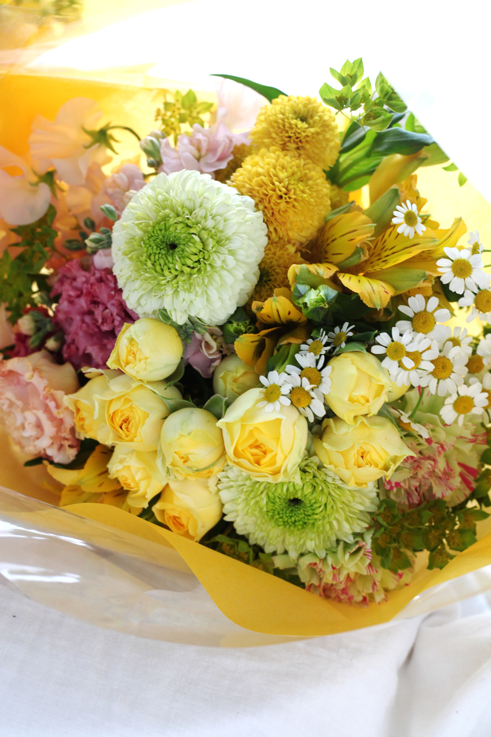 yelloworange5500-316.jpg