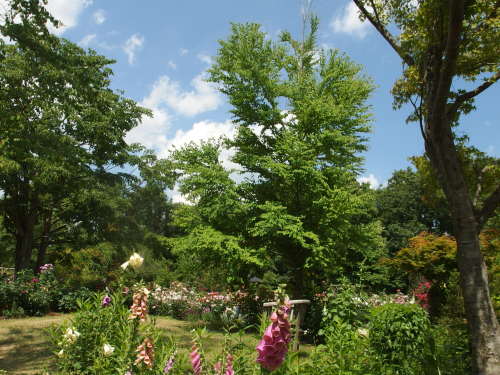 2015-06-10 12.29.15.jpg