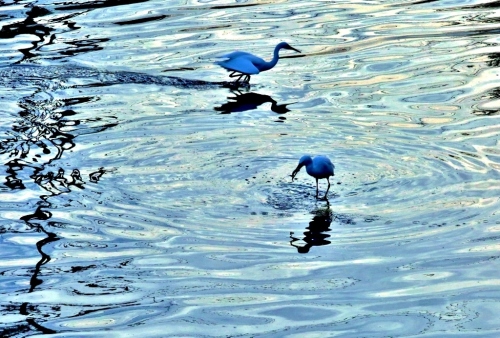 B97A6776 (1024x693).jpg